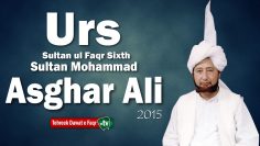 Sultan ul Faqr Sixth 2015