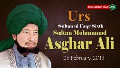 Sultan ul Faqr Sixth 2018