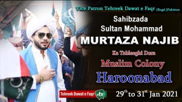 Video thumbnail for youtube video ovulolrpp0s