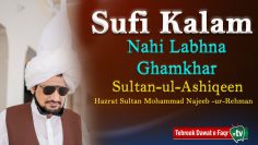 Video thumbnail for youtube video v52joop4_iu