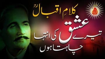 Video thumbnail for youtube video wpfvecaltia