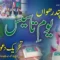 Tehreek Dawat-e-Faqr 15th Foundation Day Sultan-ul-Ashiqeen